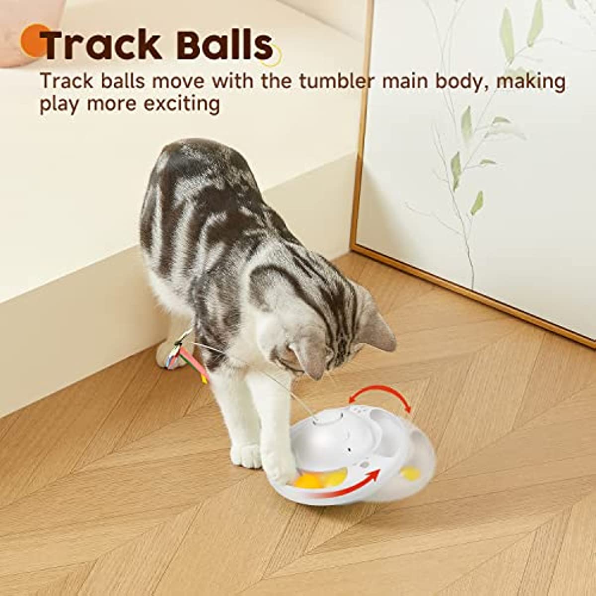 Indoor Exercise Cat Toy