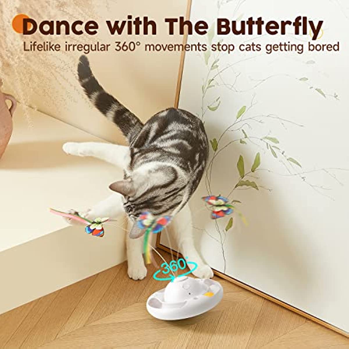 Indoor Exercise Cat Toy