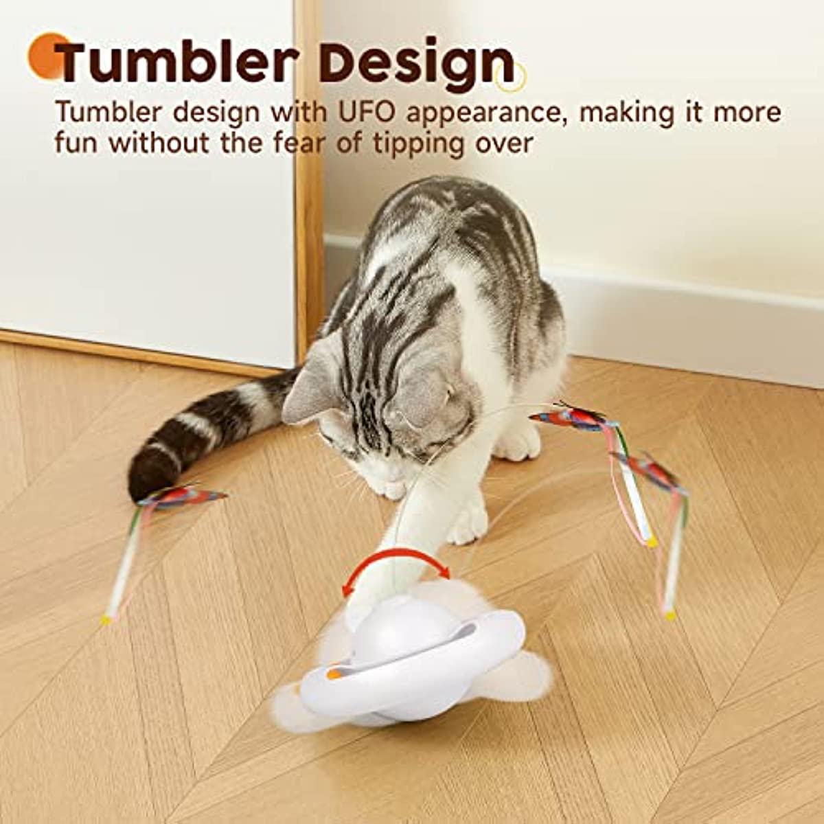 Indoor Exercise Cat Toy