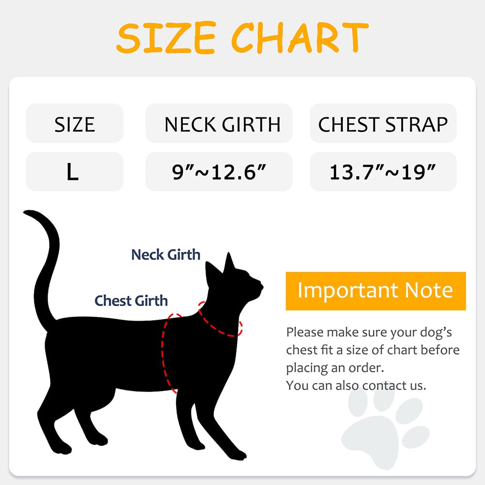 Jacket Harness for Cats