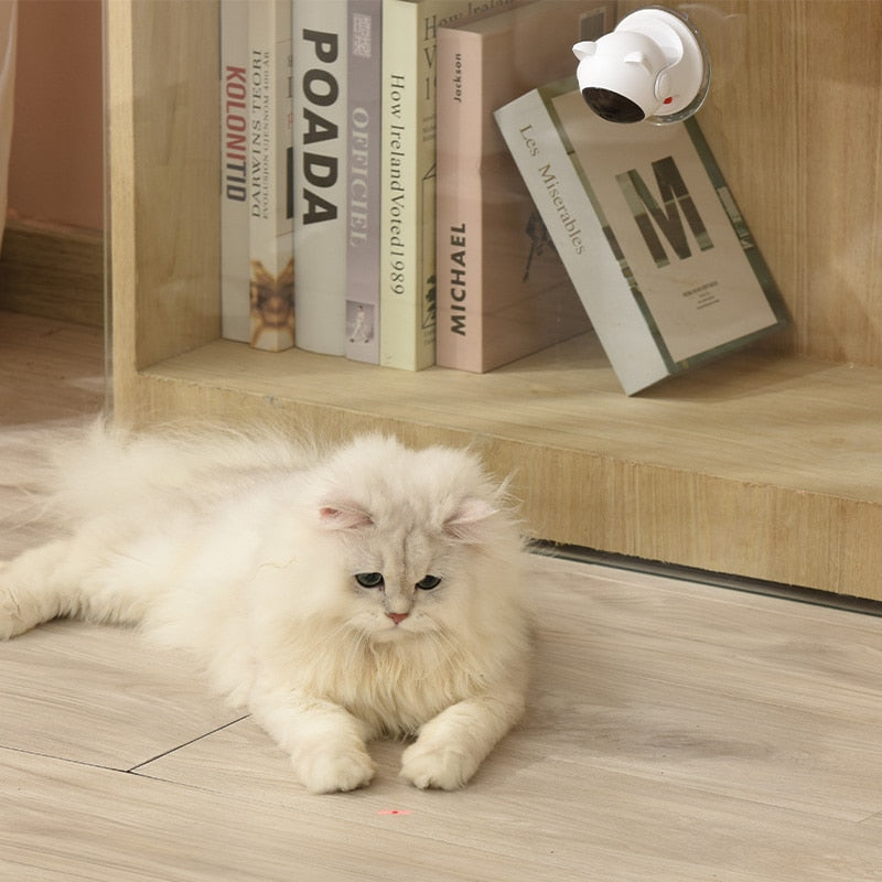 Laser Cat Toy
