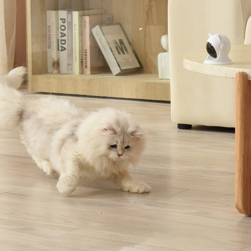 Laser Cat Toy