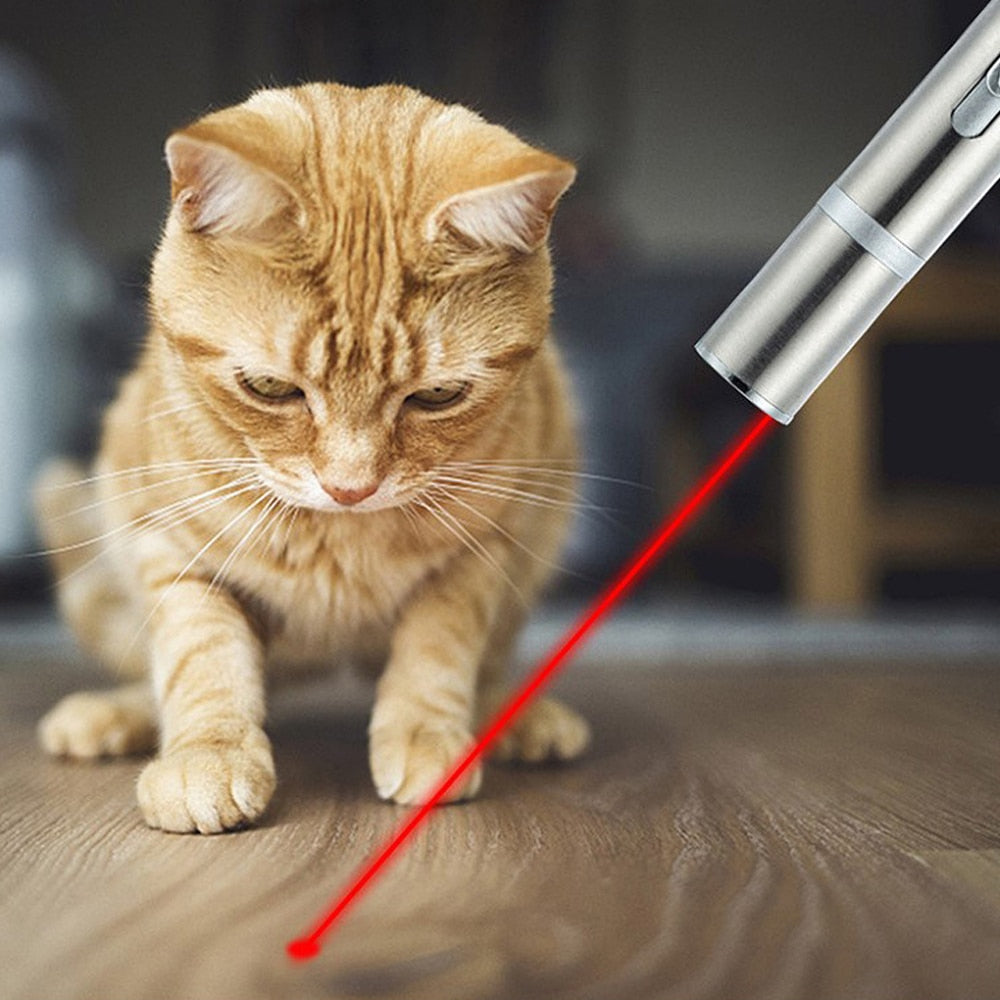 Laser Pointer Pen Cat Toy