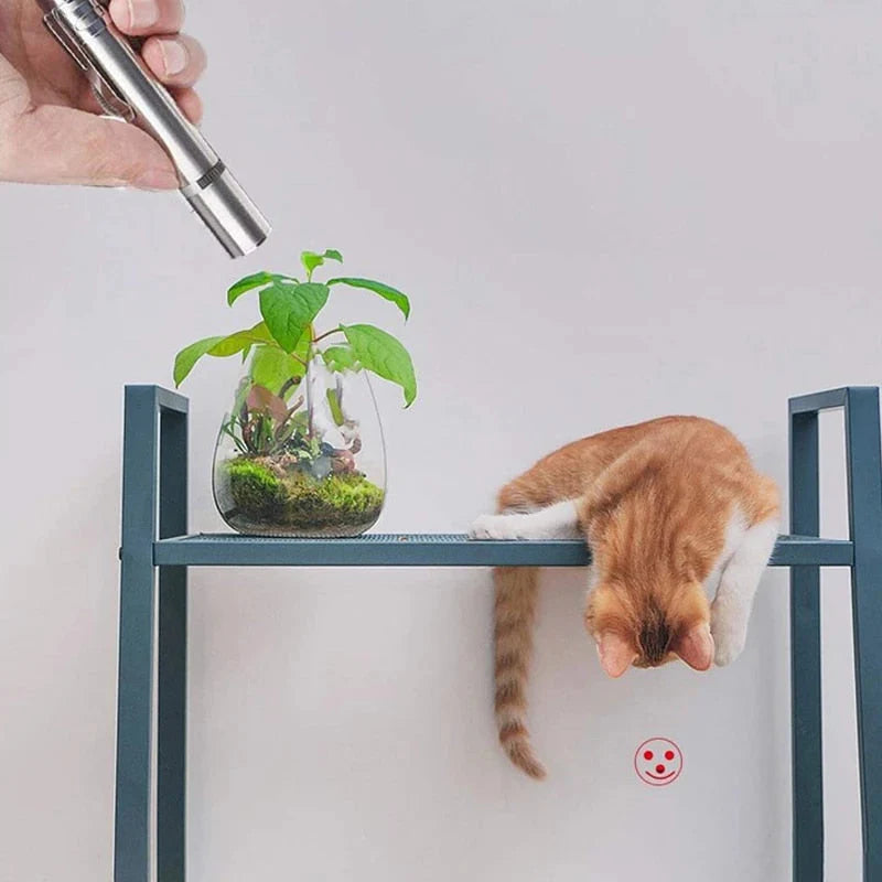 Laser Pointer Pen Cat Toy