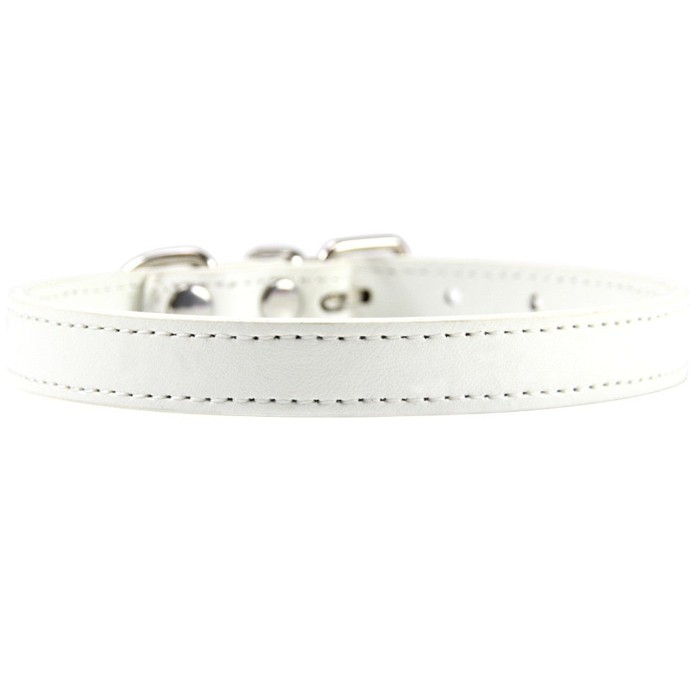 Leather Cat Collars