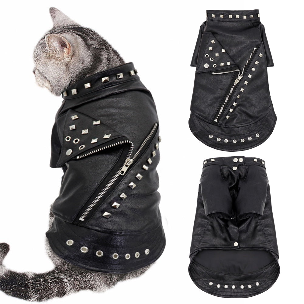 Leather Jacket Clothes for Cat