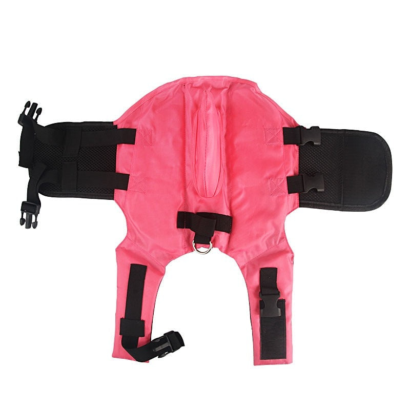Life Jacket for Cat