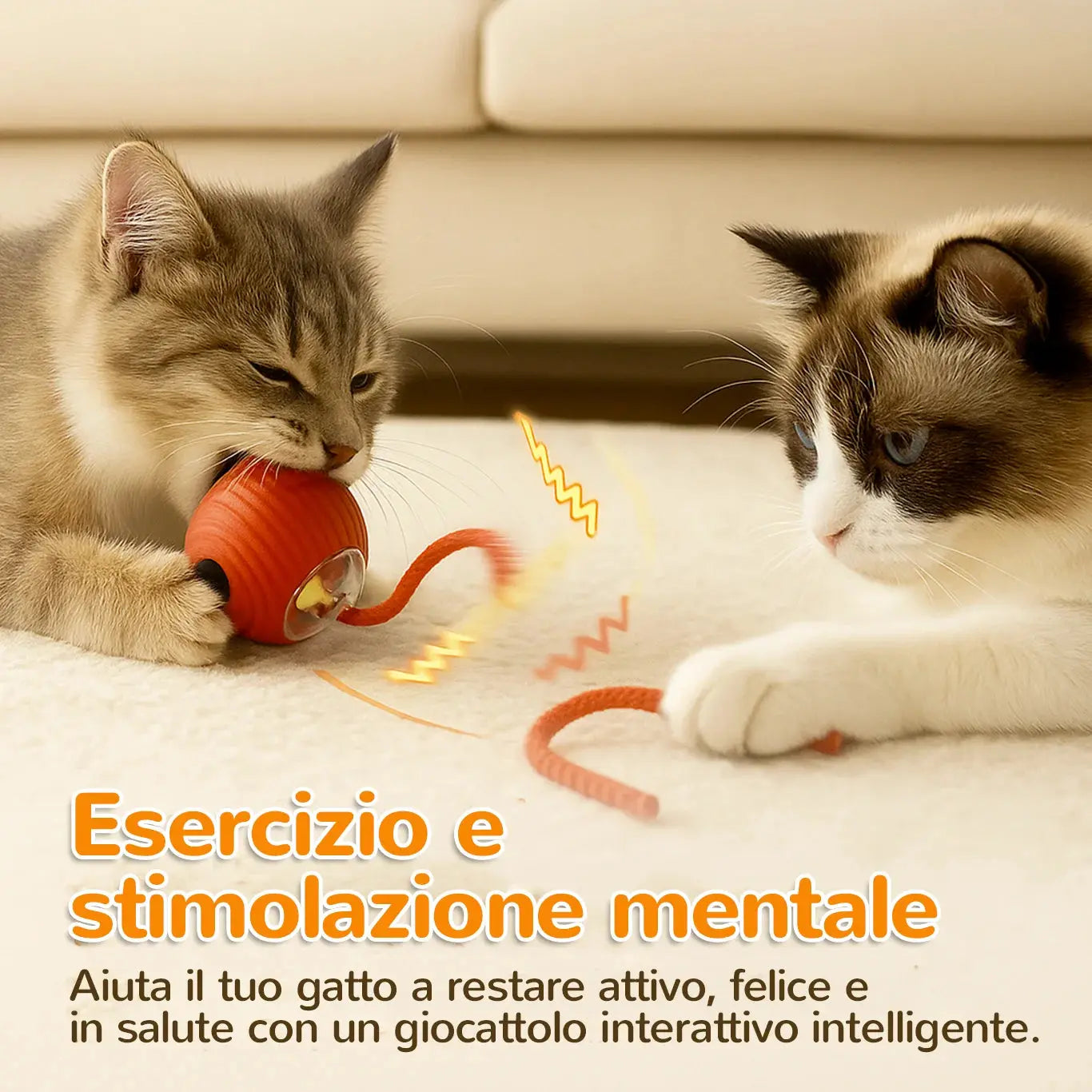 Loopi gioco interattivo per gatti che stimola esercizio fisico e mentale