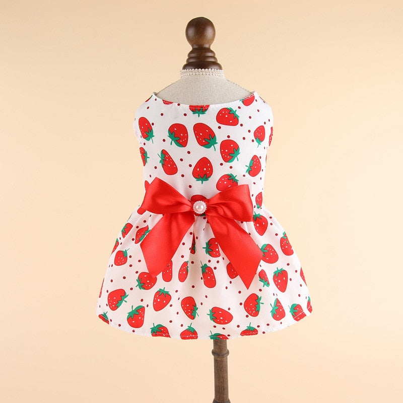 Lovely Cat Dress