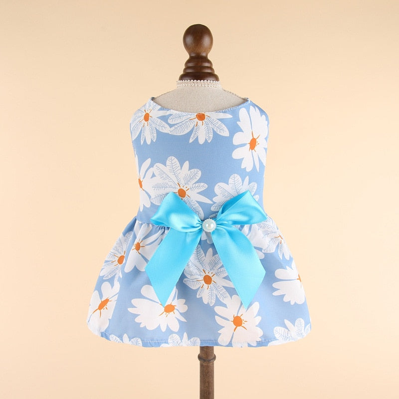 Lovely Cat Dress