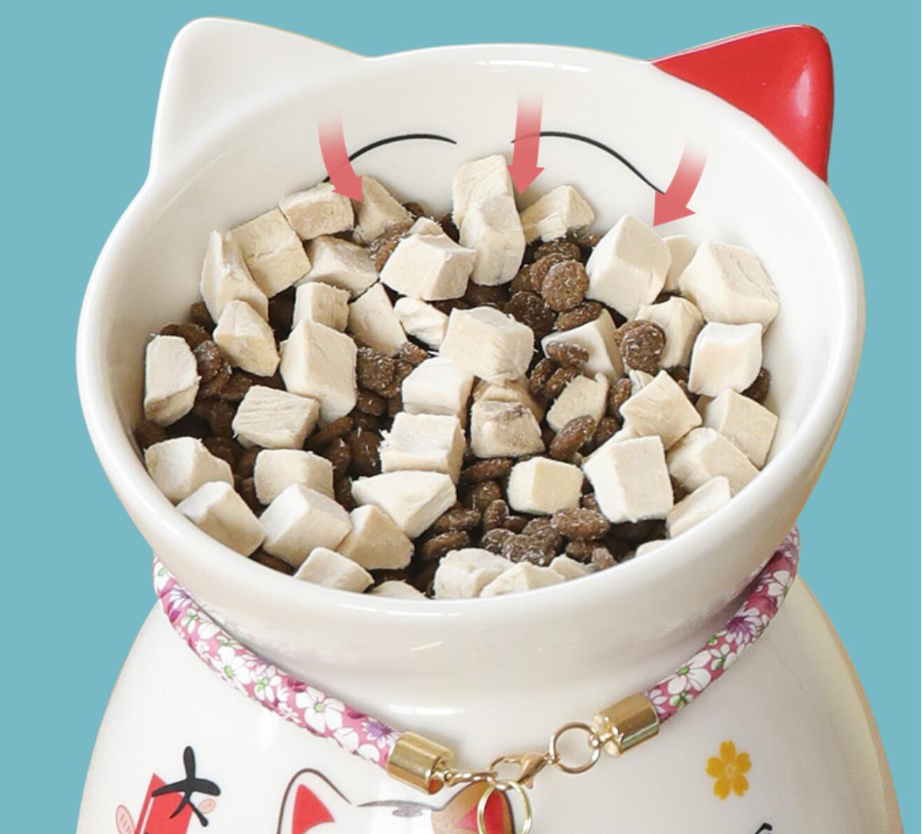 Lucky Cat Bowl