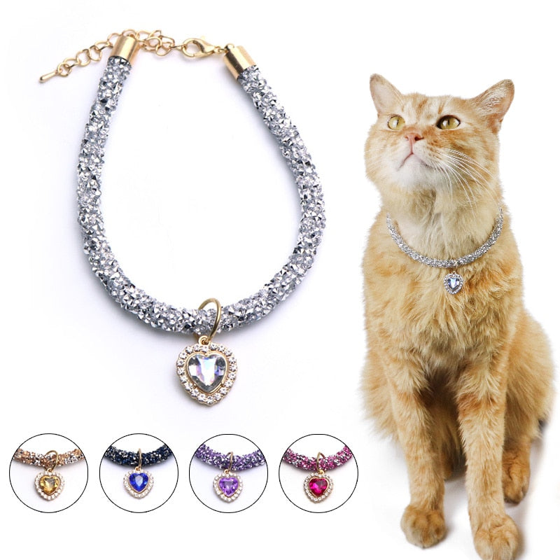 Luxury Cat Collars