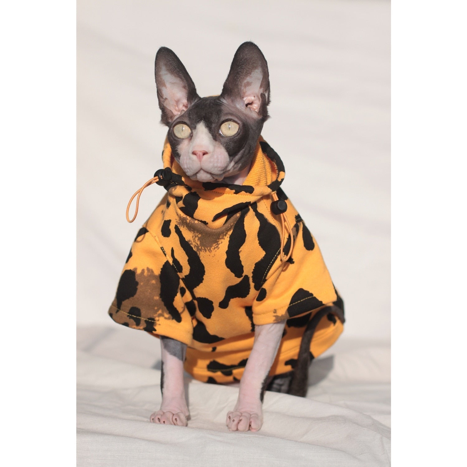 Luxury Clothes for Cats