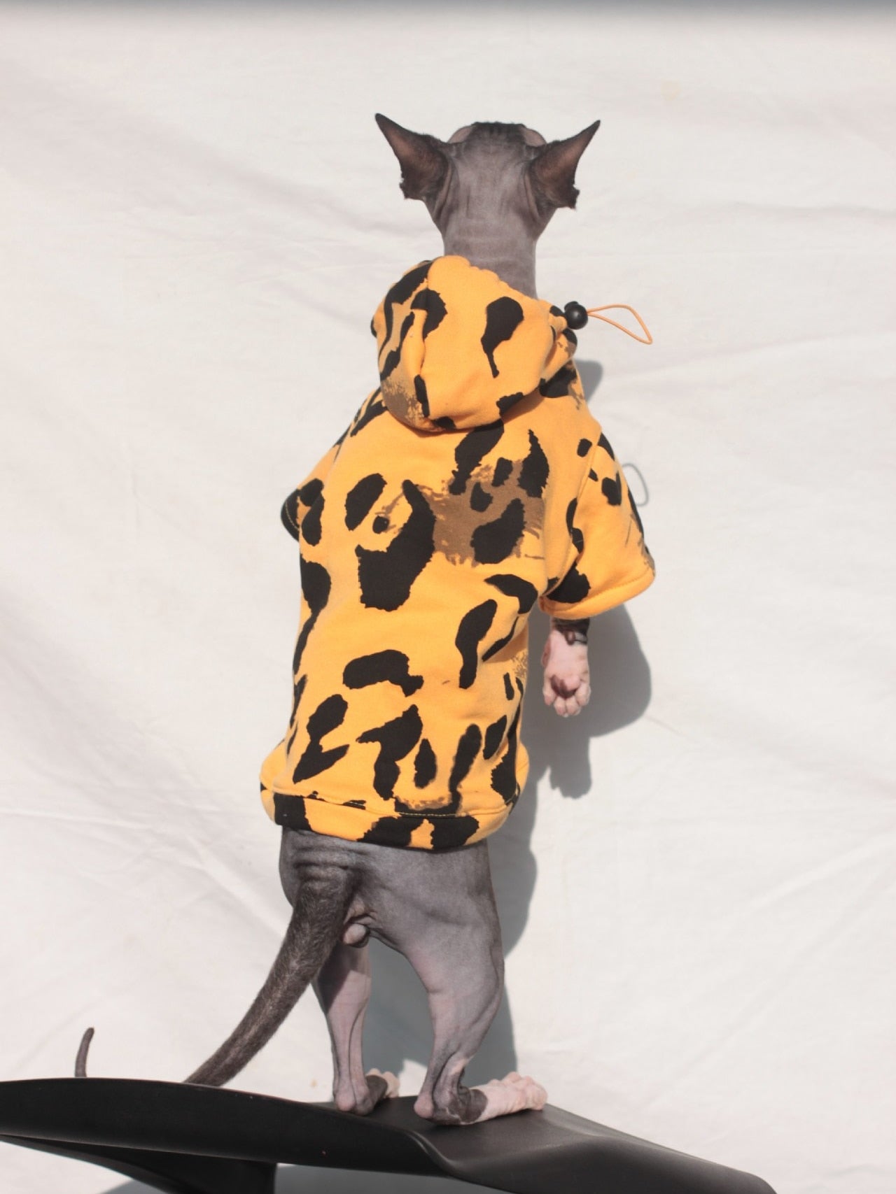 Luxury Clothes for Cats