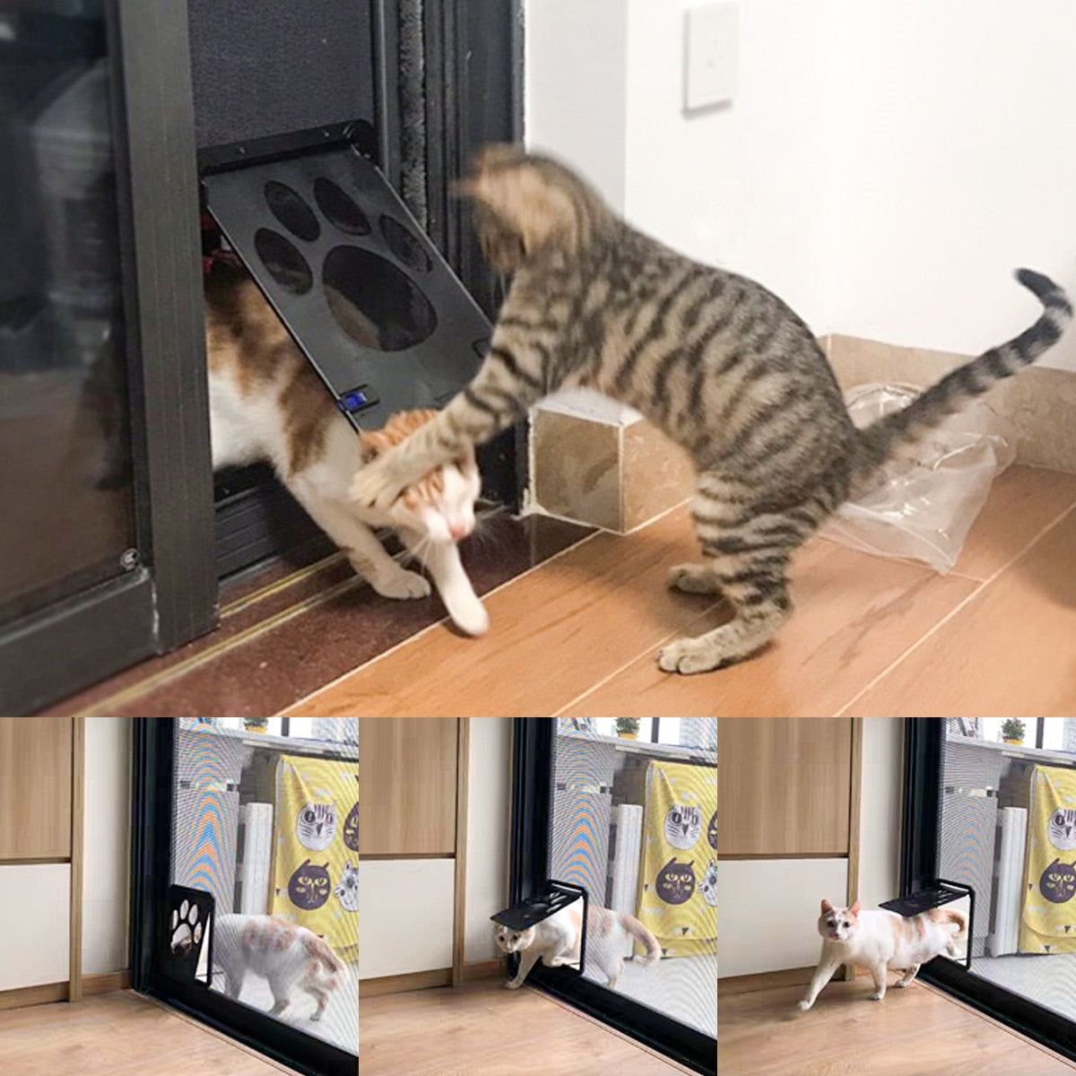 Magnetic Cat Door