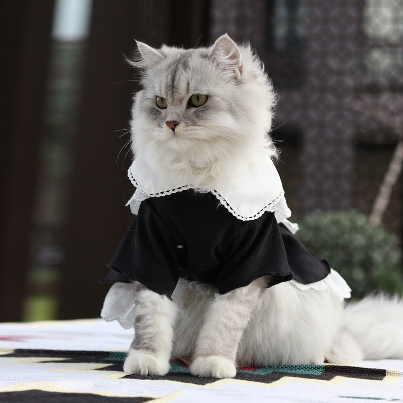 Maid Dress Clothes for Cats
