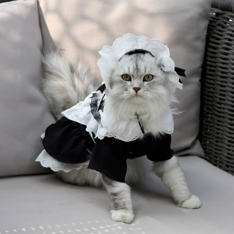 Maid Dress Clothes for Cats