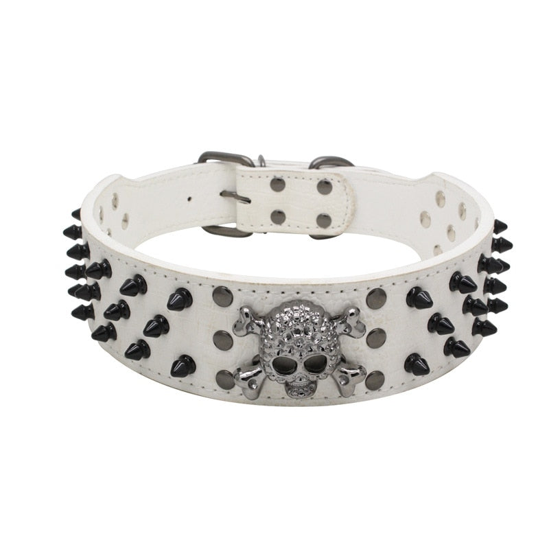 Male Cat Collars