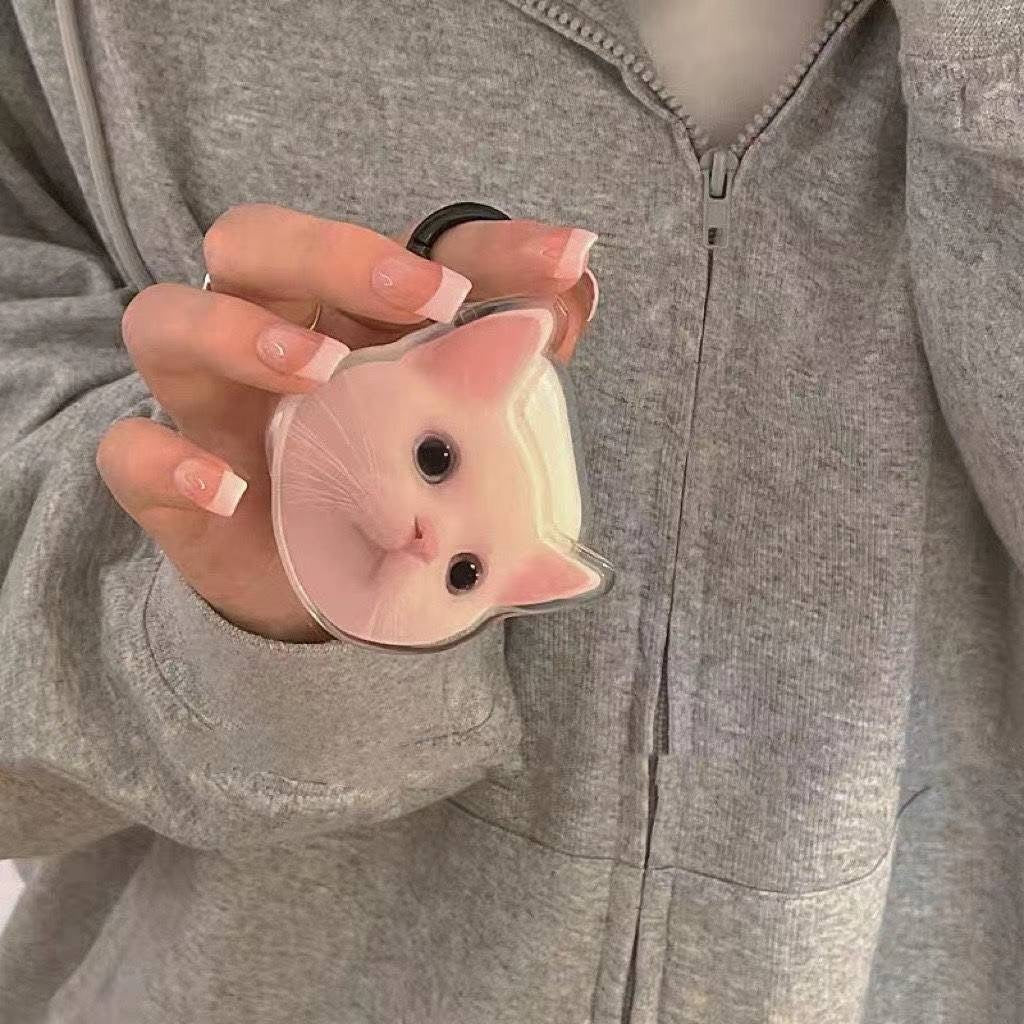 Meme Cat Airpod Case