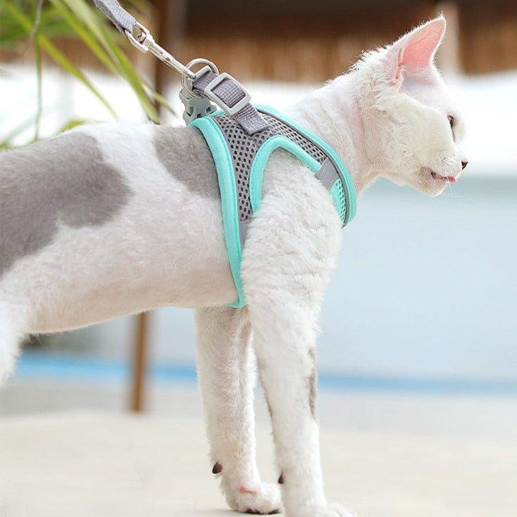 Mesh Cat Harness