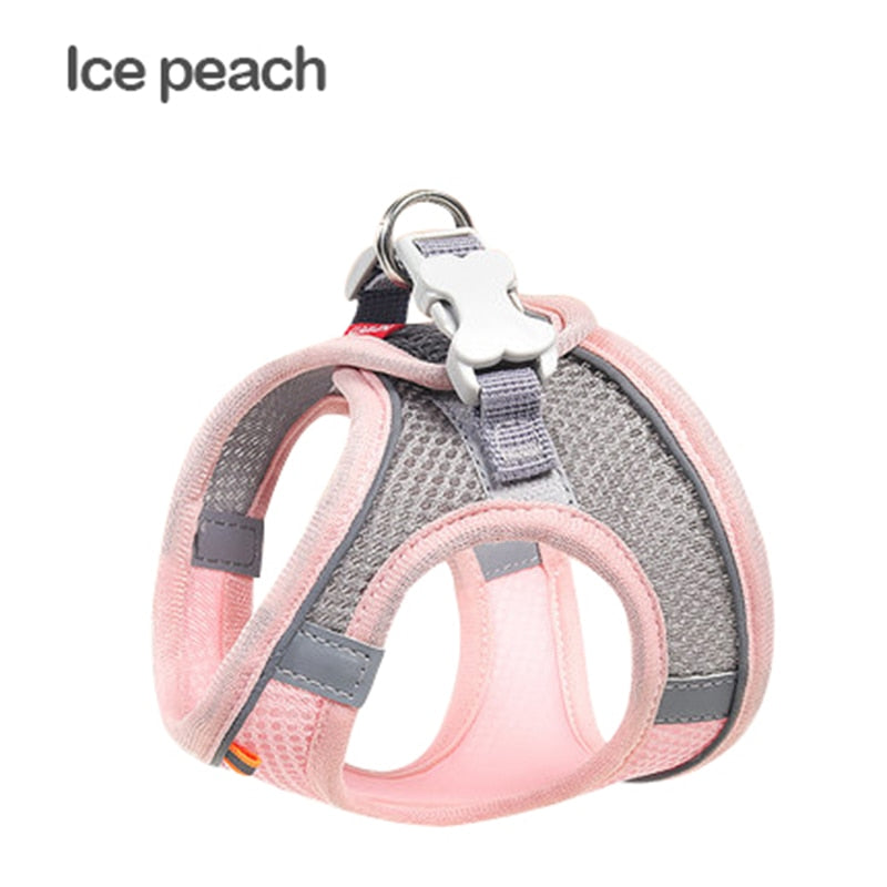 Mesh Cat Harness