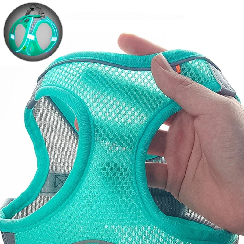 Mesh Cat Harness
