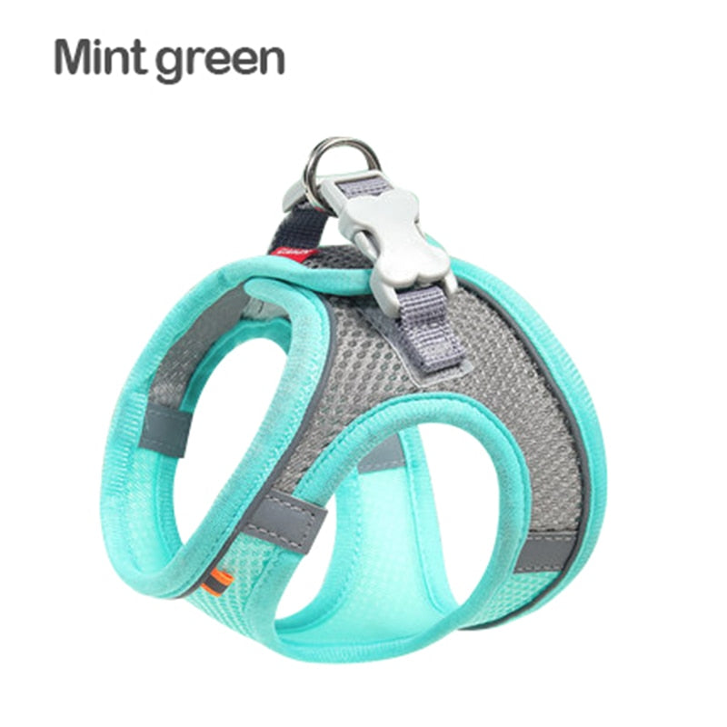 Mesh Cat Harness