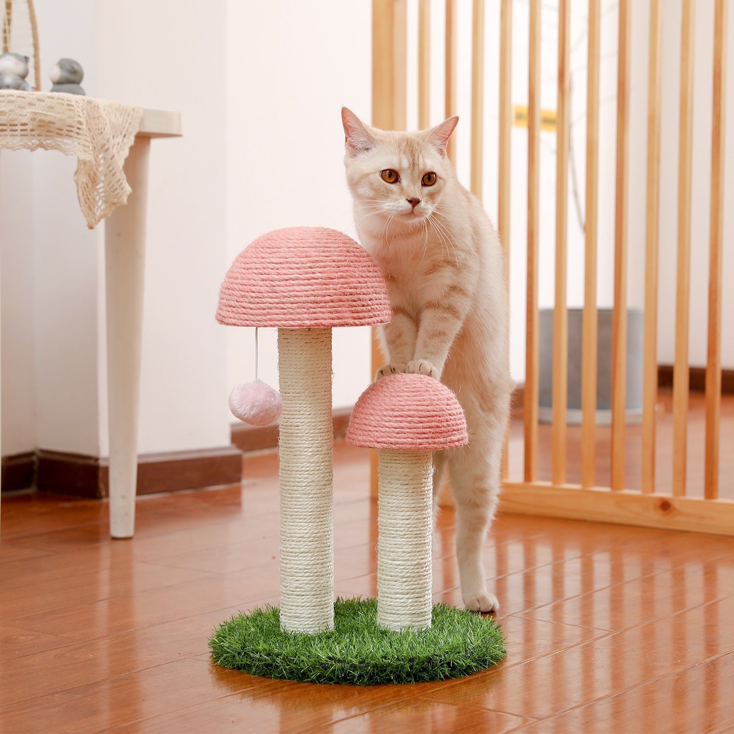Mushroom Cat Scratching Post