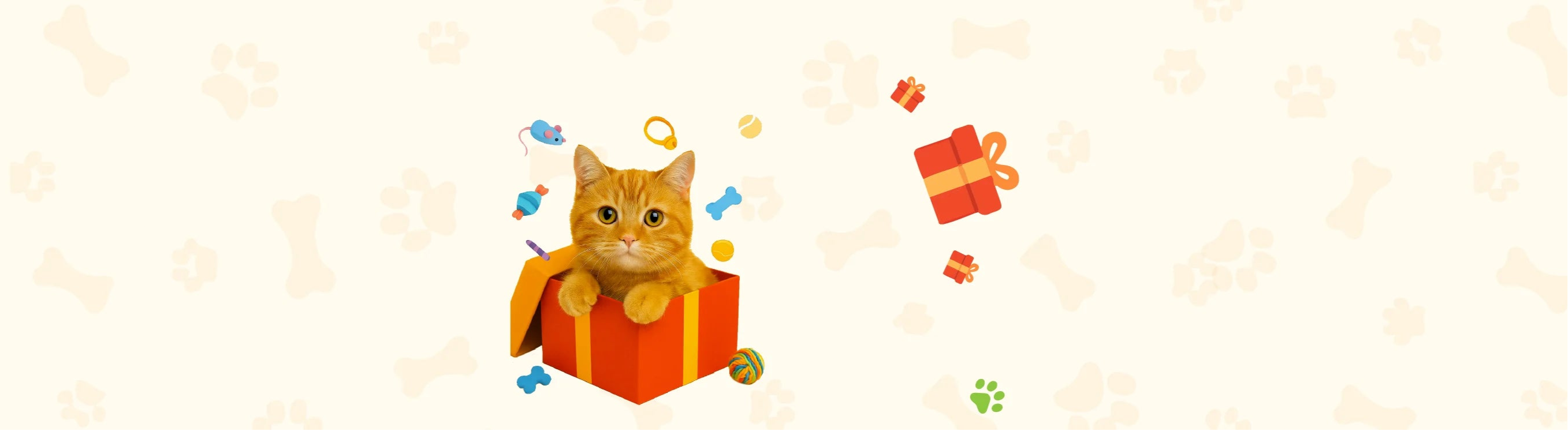 Sfondo newsletter Auvya - Gatto con regali, sconto 10%, offerte per amanti dei gatti