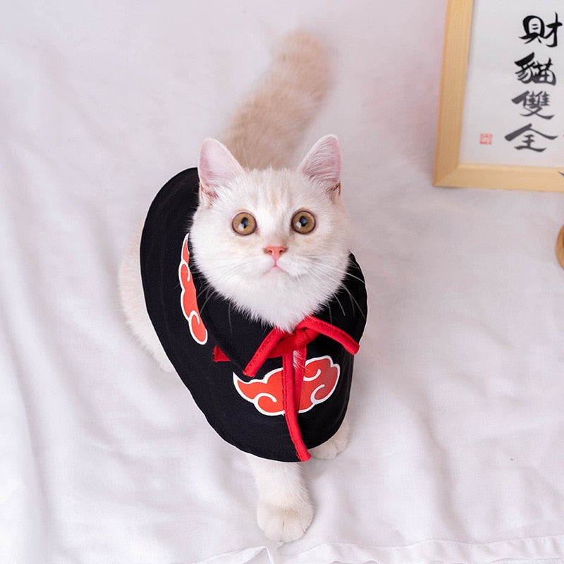 Ninja Costume for Cats