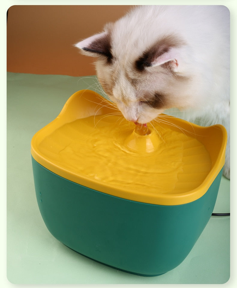 Non Electric Cat Water Fountain
