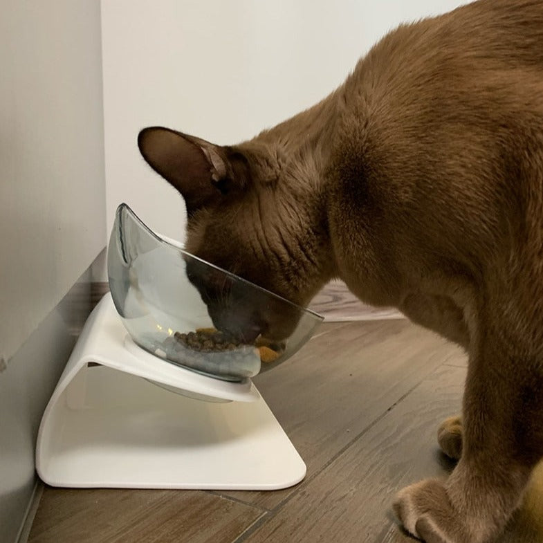 Non-Slip Cat Bowl