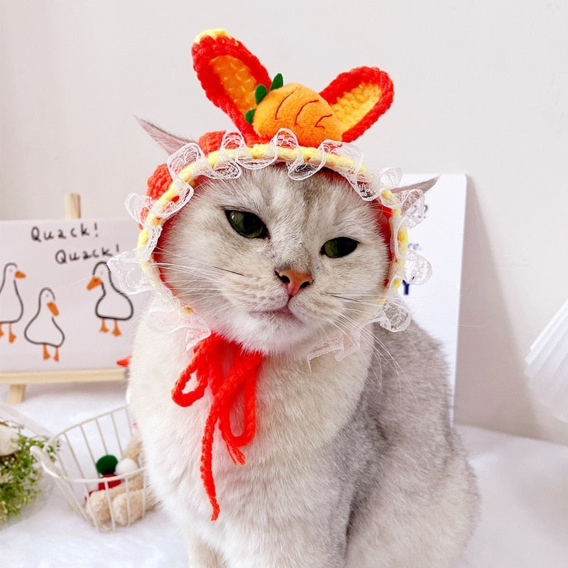 Orange Beanie for Cat