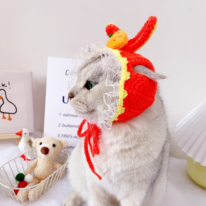 Orange Beanie for Cat