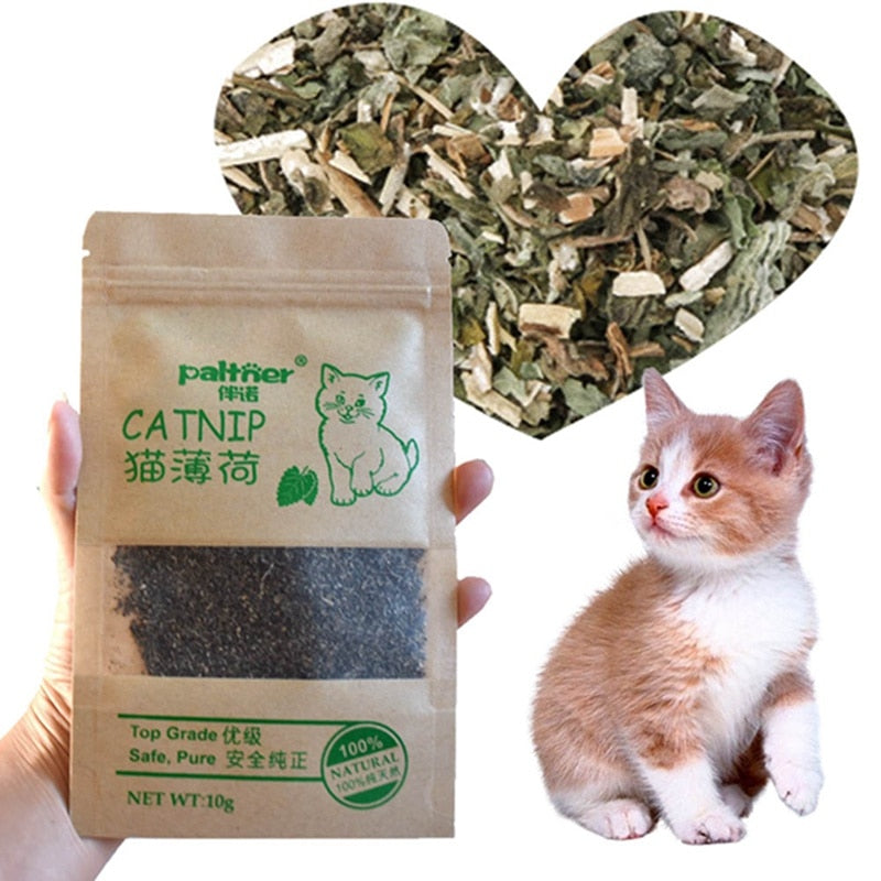 Organic Catnip