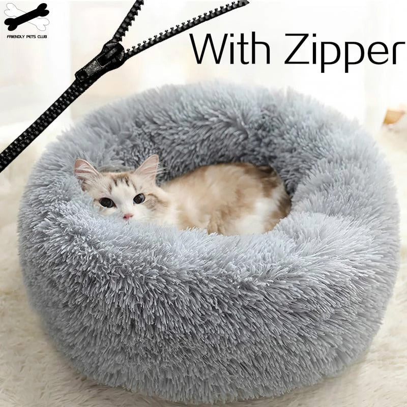Orthopedic Cat Bed