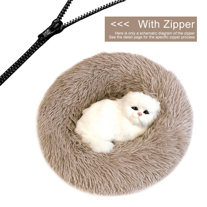 Orthopedic Cat Bed