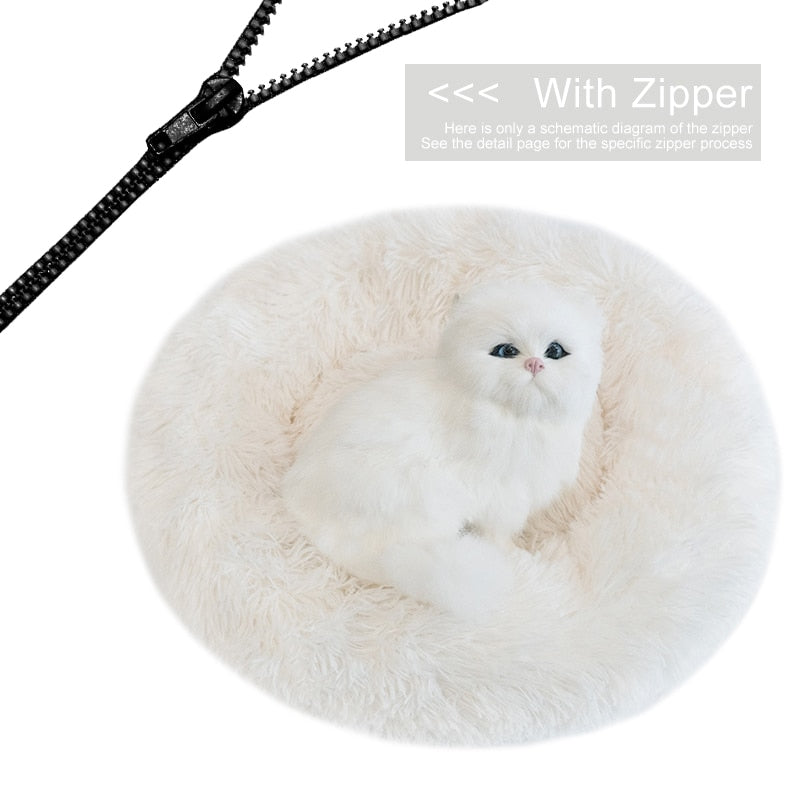 Orthopedic Cat Bed