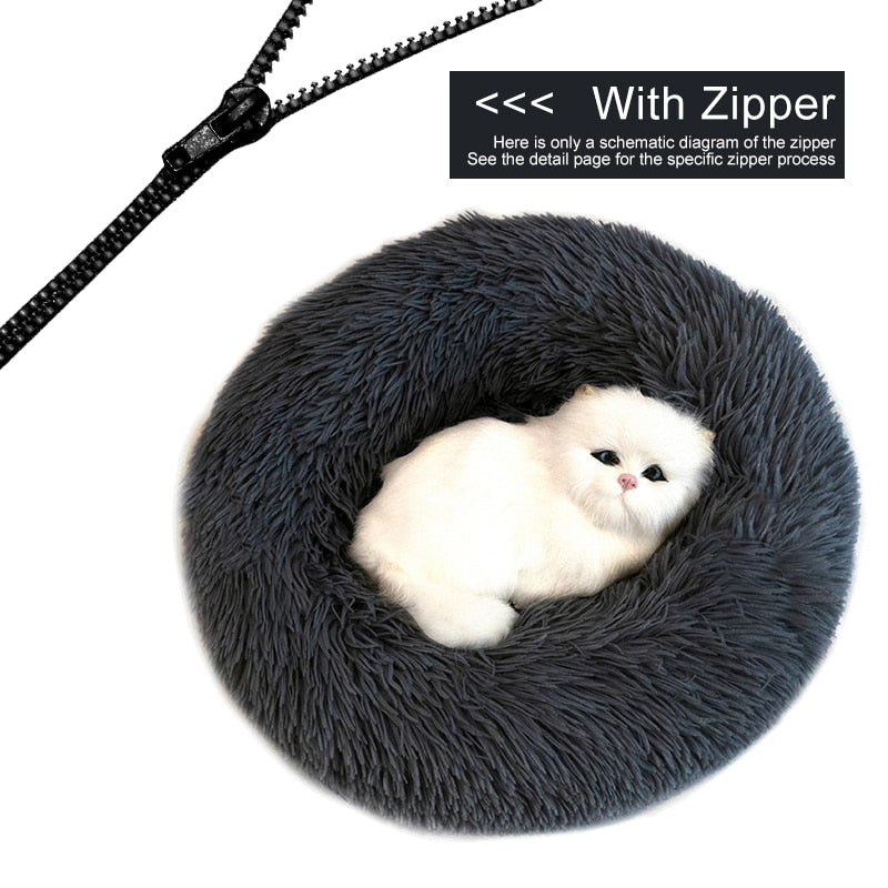 Orthopedic Cat Bed