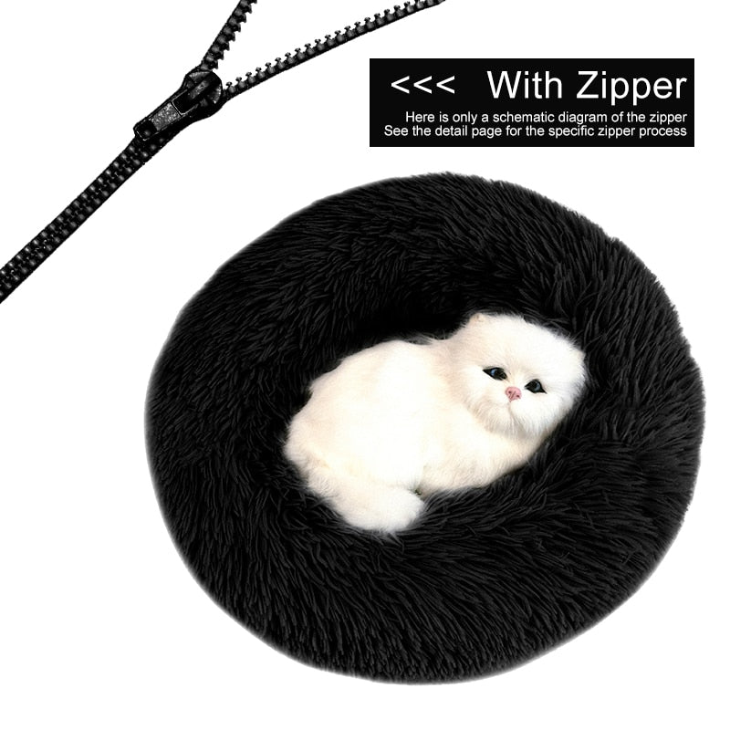Orthopedic Cat Bed