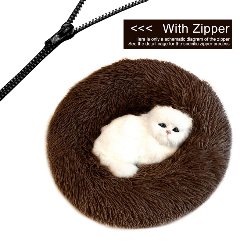 Orthopedic Cat Bed