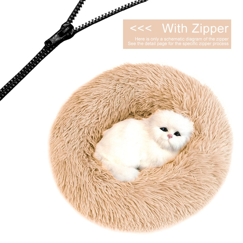 Orthopedic Cat Bed
