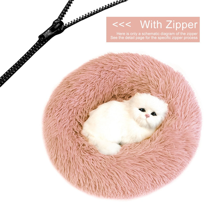 Orthopedic Cat Bed