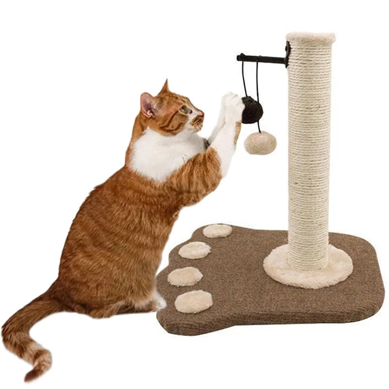 Outdoor Cat Scratch Post