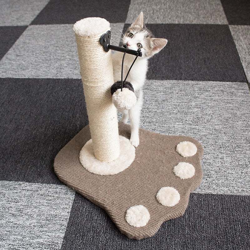 Outdoor Cat Scratch Post