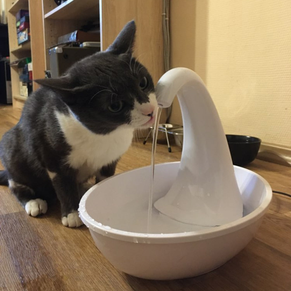 Outdoor Cat Water Fountain