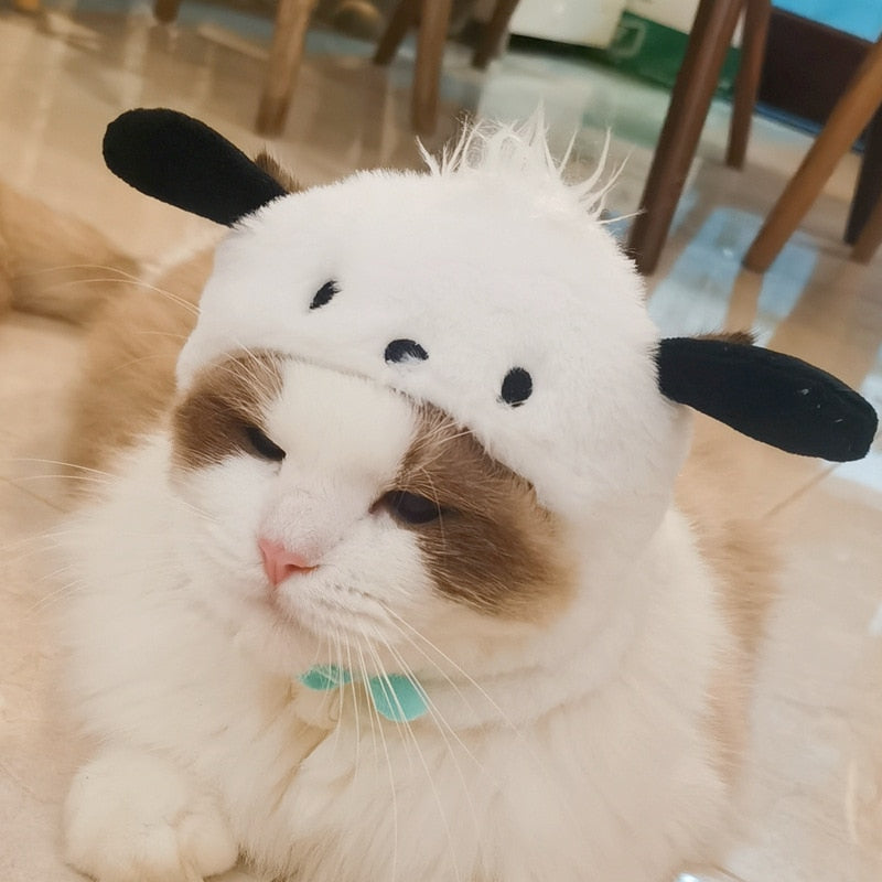 Panda Hat for Cats