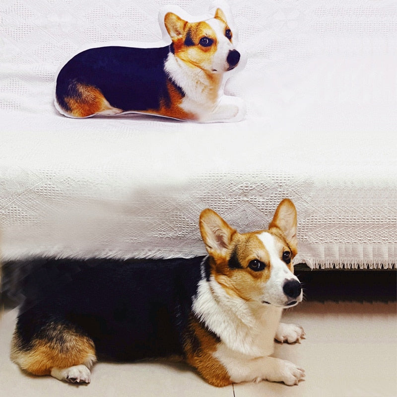 Personalized Cat Pillow