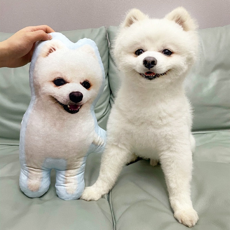 Personalized Cat Pillow