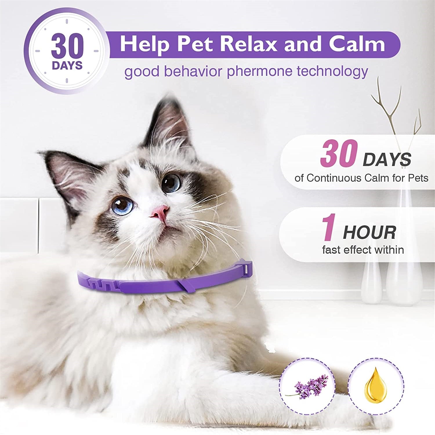 Pheromone Collars for Cats